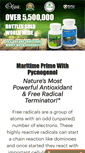 Mobile Screenshot of maritimeprime.com